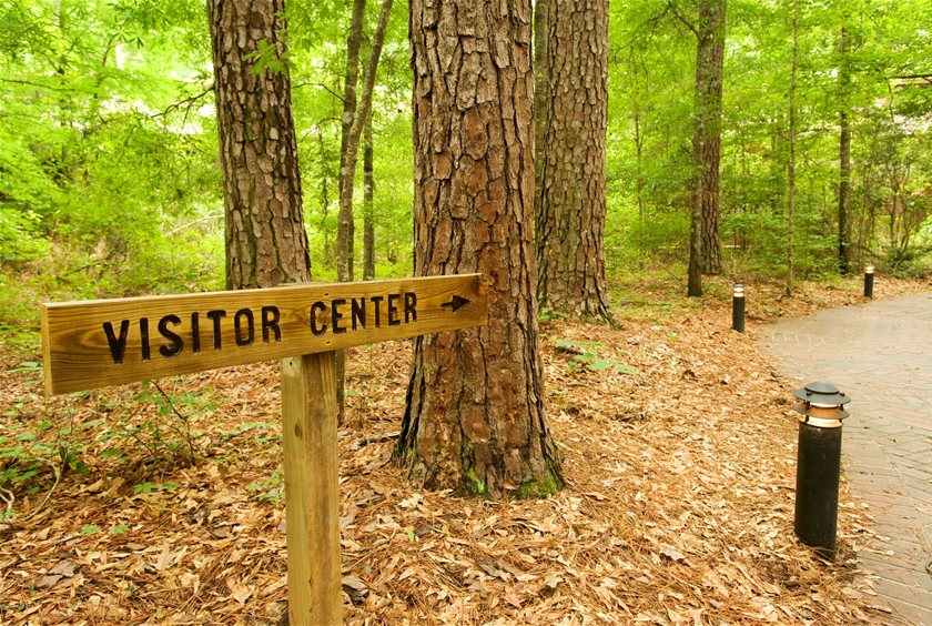 Downturn in the economy affecting visitor numbers