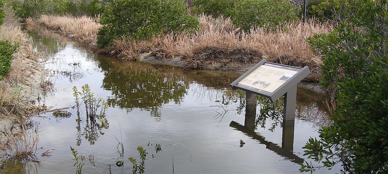 Cape May National Wildlife Refuge